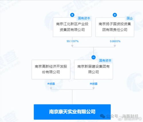 電大大專生研發(fā)政務(wù)軟件變身大股東 大漢軟件實控人疑點重重