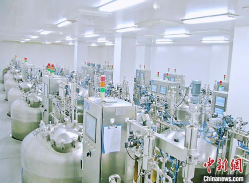 甘肅科研人三坎破堅冰 自主創新實現動物疫苗全產業鏈自給自足