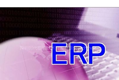 【提供中小企業(yè)ERP定制軟件開發(fā)服務(wù)圖片】提供中小企業(yè)ERP定制軟件開發(fā)服務(wù)